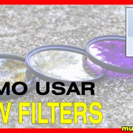 Como usar filtros (view filters) en Revit